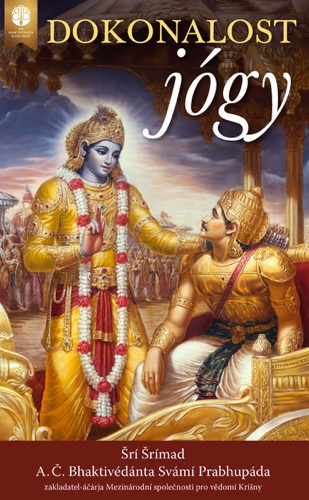 Dokonalost jógy