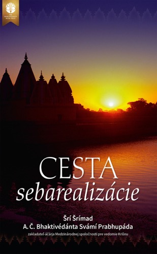 Cesta sebarealizácie